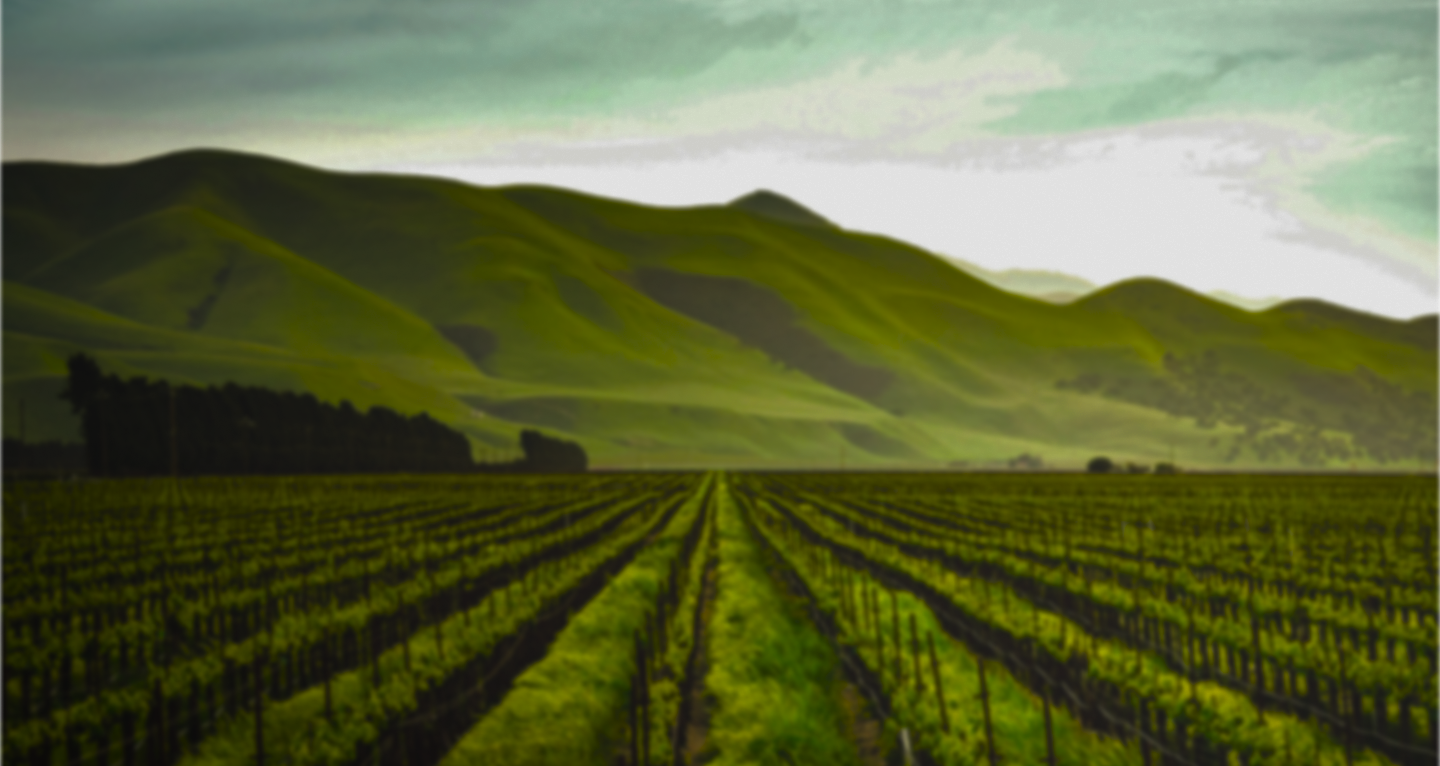 Farm field background